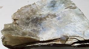 micaceous(muscovite).jpg (17436 bytes)