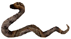 http://z.about.com/d/webclipart/1/0/b/S/1/3snake.gif - 10.0 K