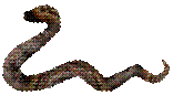 http://z.about.com/d/webclipart/1/0/b/S/1/3snake.gif - 10.0 K