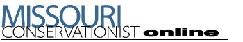 Conservationist Online Logo